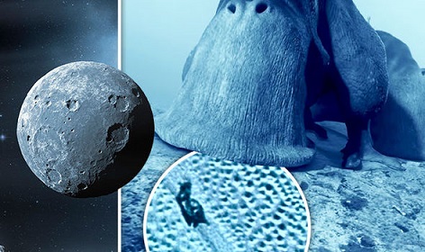 冥王星で「宇宙カタツムリ」発見か？！NASAの画像に専門家も大興奮！