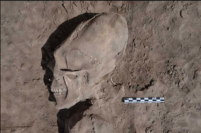 メキシコで「宇宙人のような」奇妙な頭蓋骨が１３体発掘される