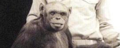 ヒトとチンパンジーの交雑種「ヒューマンジー」が米研究所で１００年前に作られていた？！