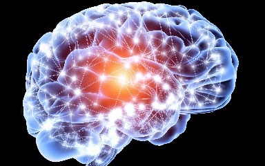 脳は一生成長する！年配者でも１０代と同数の新神経細胞を持つことを科学者らが発見