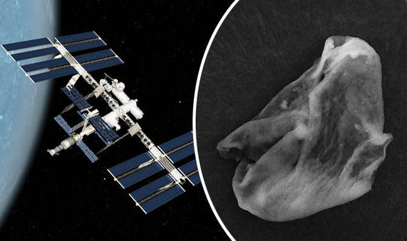 ISSが採取したサンプルから地球外生命体の証拠を発見！！
