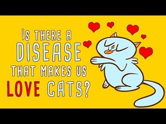 愛猫家が猫好きなのはトキソプラズマ感染が原因かも？！